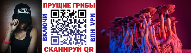 где можно купить наркотик  Кинешма  сайты даркнета Telegram  Галлюциногенные грибы Cubensis  МЕГА как зайти 